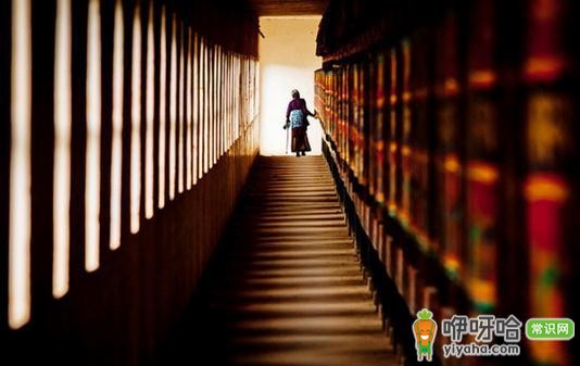 去西藏旅游必知!做好这几点准备,让你旅途无忧!