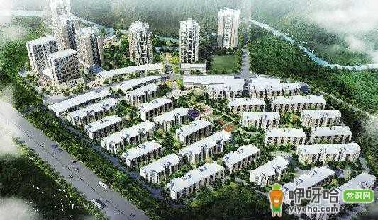 山东省滨州市公租房申请条件大揭秘!这几点你要知道