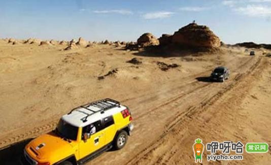 资深车友揭秘:自驾游必知的几点经验