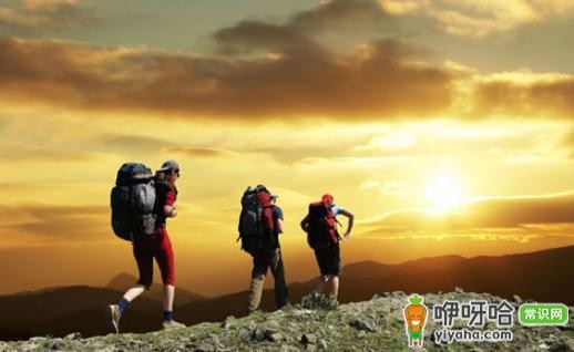 外出旅游买啥保险最好?这3类高性价比保险别错过!