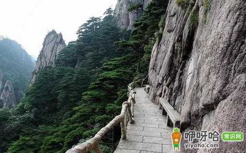 黄山山景美冠天下!“黄山归来不看岳”,为何它成最美山景首选?