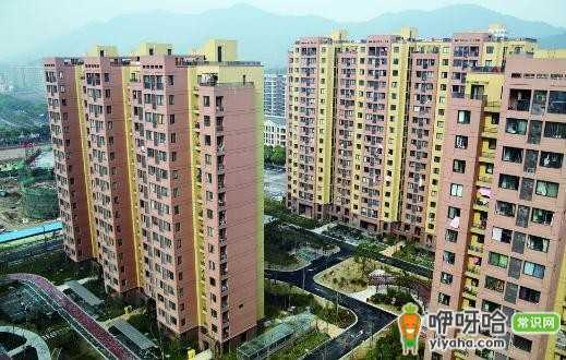 深圳公租房申请条件及管理办法全揭秘,一文读懂!