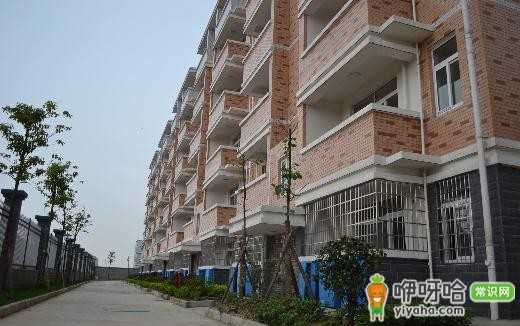 绍兴公租房申请条件及管理办法全解析