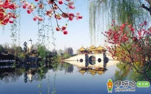 揭秘旅游消费陷阱:旅游附加费,这些猫腻你知道吗?