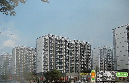 浙江省丽水公租房管理办法与买卖政策全解析