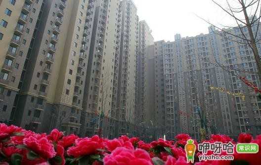 江门(广东)公租房申请条件全解析,满足这些条件即可申请!