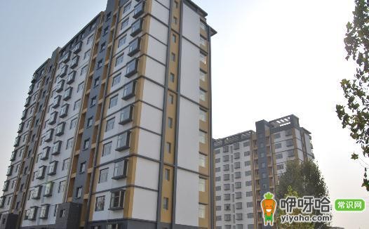 广东省河源公租房申请条件大揭秘!这些要点你知道吗?