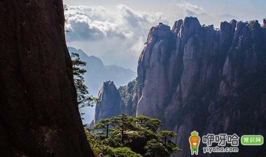 夏季户外旅游必知的 5 大注意事项