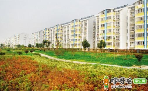 重庆经济适用房申请条件大揭秘!满足这些才能申请!