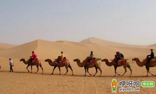 探秘!神秘丝绸之路涵盖的地方有哪些?