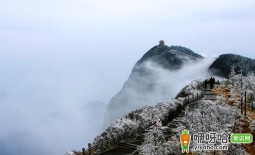 哪些人不适合去高海拔地区旅游?这3类人群要注意