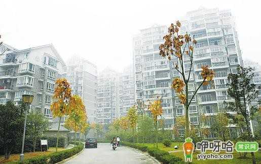 烟台经济适用房申请条件及买卖政策全解析