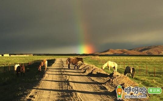 阿里:一个让你过瘾的旅游地,体验极致之美!