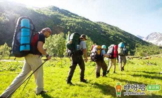 自驾游必知!10 项准备物品与 5 大注意事项