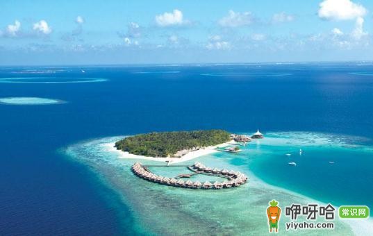 外出旅游必知!避开这几种毒物,让旅途更安全