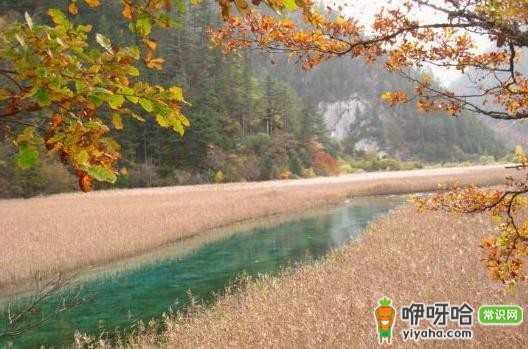 户外运动必知!十个有用问答来了