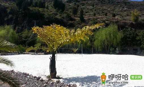 进入高原前的 5 大准备及途中 7 大注意事项,必读!