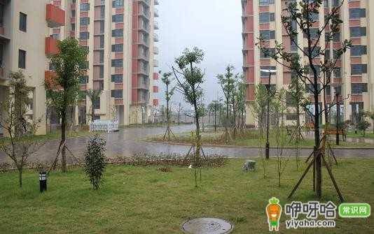 南昌经济适用房申请条件及政策,一文读懂!