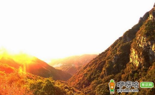 户外旅游安全取水攻略,掌握这些方法让你取水无忧!