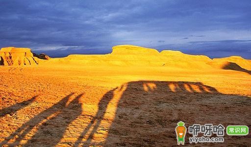 出外旅行的最佳时间是什么时候?