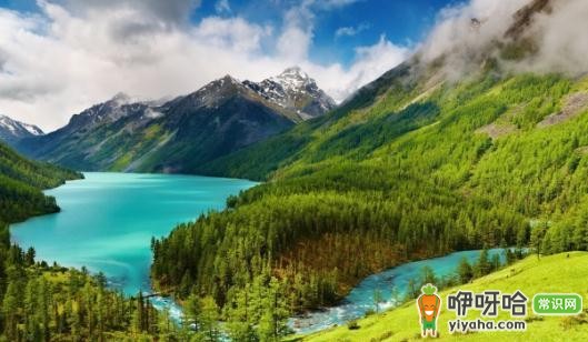 山间小路游玩走路技巧大揭秘,掌握这几点让你游玩更轻松