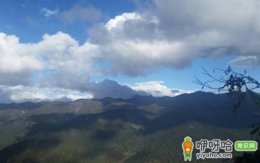 自驾游经验大揭秘!这几招让你轻松玩转旅途