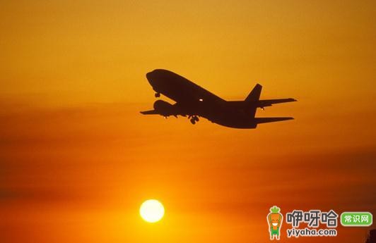 游客出游必知:需购买哪些保险?