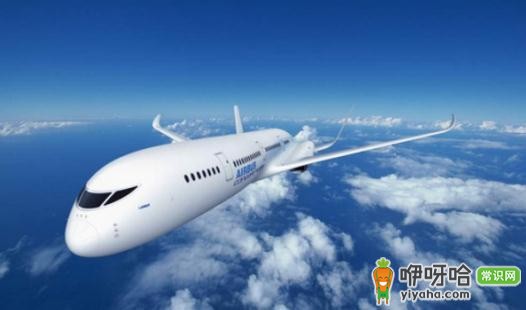 长途飞行更愉快的 5 个方法