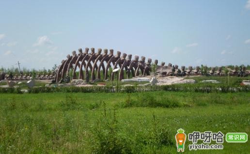 必知!3 类禁止拍照的旅途场景