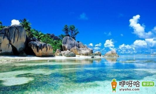 海外来华旅客必看!海关相关规定全揭秘