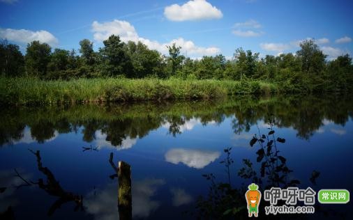 国外旅游必知:3种持汇方法大揭秘