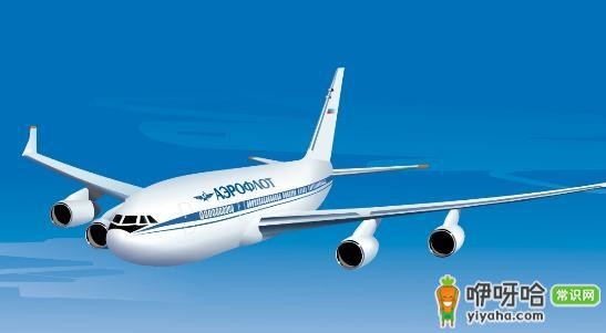 必知!国际航班乘坐顺序流程全揭秘