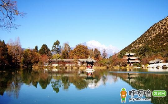 春节旅游必看!大理至双廊旅游攻略大揭秘