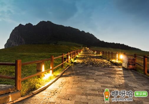 韩国旅游购物攻略:去韩国旅游买什么好?必看清单!