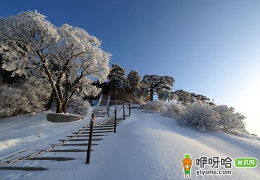 冬天旅游好去处及注意事项,这几点你不能错过!