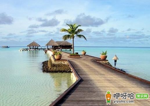 出国旅游手续和旅游签证办理流程全解析,一文读懂!