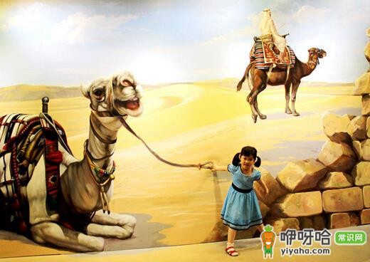 亲子游线路及注意事项全攻略，带娃出行必备！ 