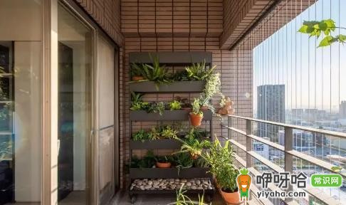 为什么很多高档小区没阳台?5大核心原因解析