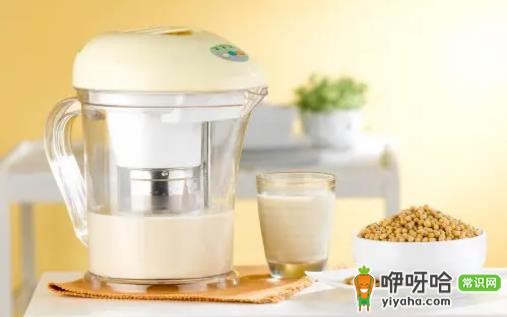 破壁机打豆浆用干豆还是泡豆?3大对比告诉你答案