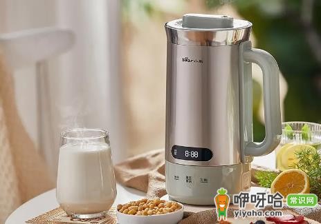 破壁机打豆浆用干豆还是泡豆?3大对比告诉你答案