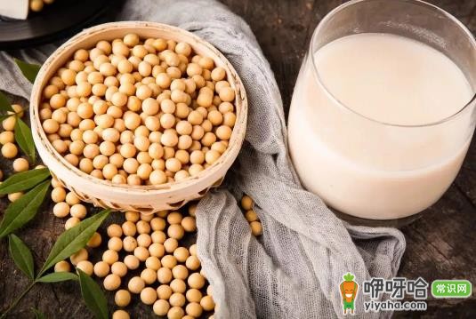 破壁机打豆浆用生豆还是熟豆?1分钟明白哪个更好喝营养