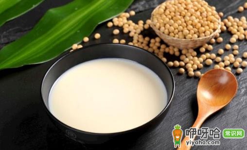 破壁机打豆浆用生豆还是熟豆?1分钟明白哪个更好喝营养