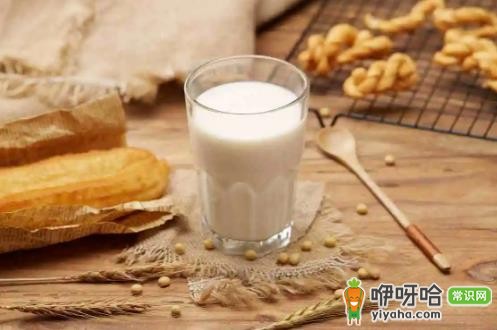 破壁机用完后能立即清洗吗?3个关键要点需注意