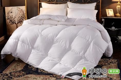 鹅绒被里有黑色绒正常吗?3点告诉你答案