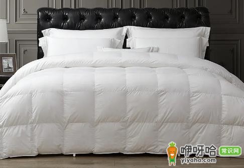 鹅绒被黑毛是什么原因?3大常见因素解答