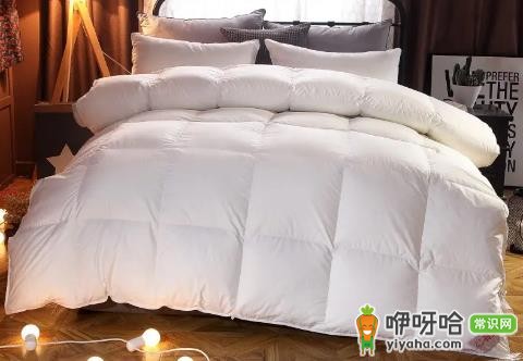 鹅绒被黑毛是什么原因?3大常见因素解答