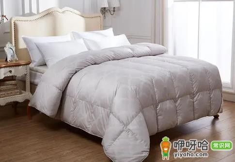 鹅绒被黑毛是什么原因?3大常见因素解答