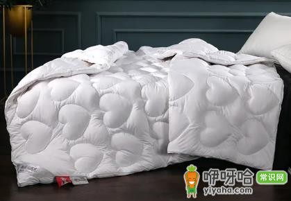 鹅绒被清洁度1000是什么意思?达标吗?