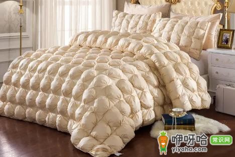 鹅绒被清洁度1000是什么意思?达标吗?