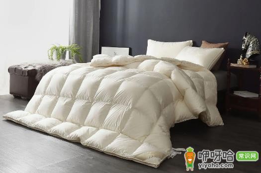 鹅绒被淋雨了怎么办?3步正确处理避免结块